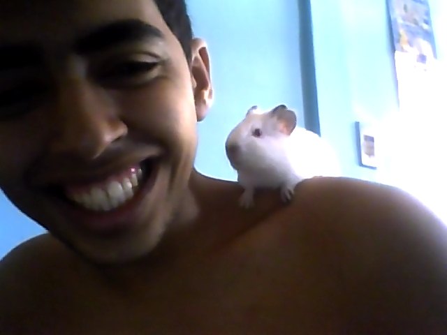 [profilbildo: Ricardo]